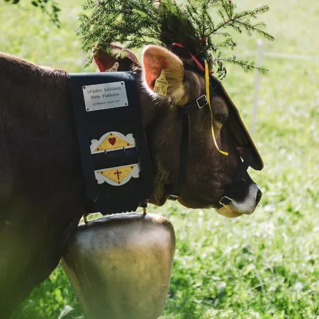 Zirmegg Apartment Tobadill